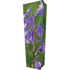 Beautiful Bluebell - Personalised Picture Coffin with Customised Design.
